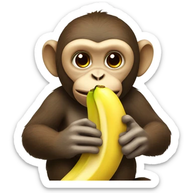 monkey eating a banana  sticker