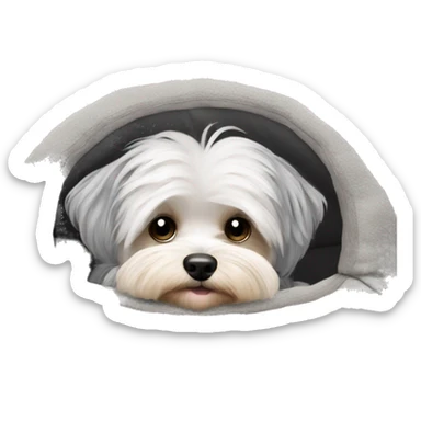 Gray hair Morkiepoo laying in plush dog bed sticker