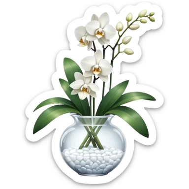 Bouquet of white orchids in crystal vase sticker