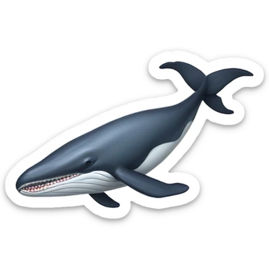 anatomically correct humpback whale sticker
