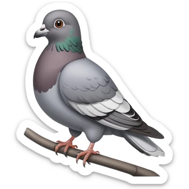 Pigeon sticker