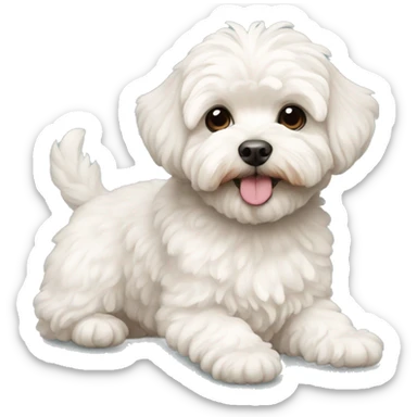 Perrito maltipoo  sticker