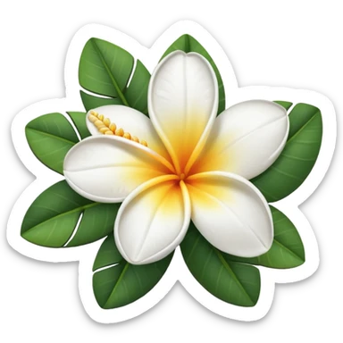 frangipani flower white sticker