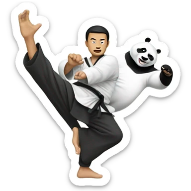 Asian man doing kung fu against a panda sticker