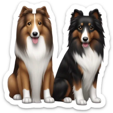 sable and bi-black shelties are friends sticker
