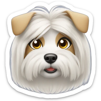 Maltese with two pony hair sticker