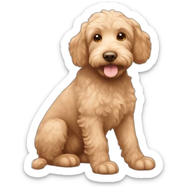 Mini labradoodle apricot with big ears sticker