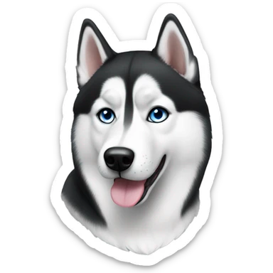 realistic short haired black and white Siberian husky with blue eyes sticker