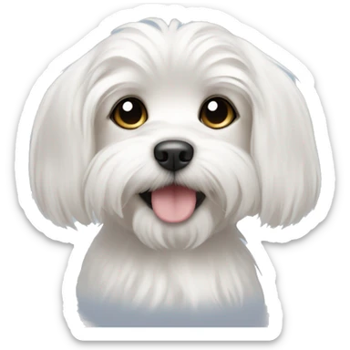 Maltese puppy with long hair on the ears and a short-cropped muzzle sticker