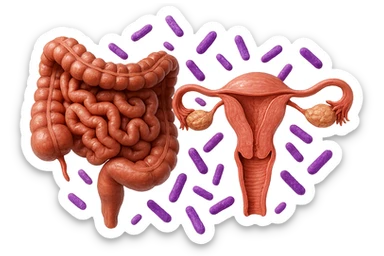 intestino umano anatomico realistico accanto ad un utero umano anatomico realistico, dietro i due organi fluttuano batteri intestinali con questo colore: #971ef1, iperrealistico 4k
isolata su sfondo bianco sticker