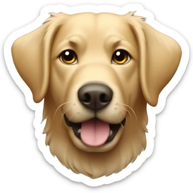 shaggy labrador-like dog with a shield sticker