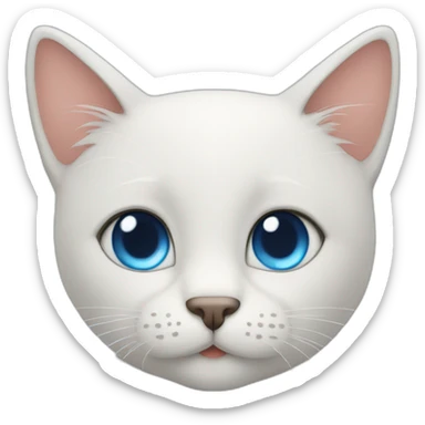 handsome blue eyes man with cute cat sticker