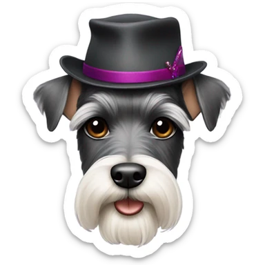 Miniature schnauzer wearing a hat sticker