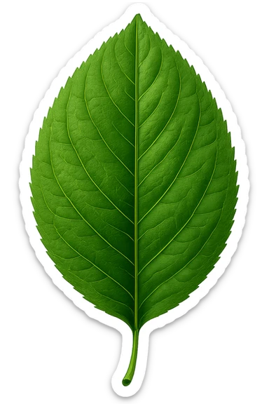 digital illustration of a leaf, no background sticker