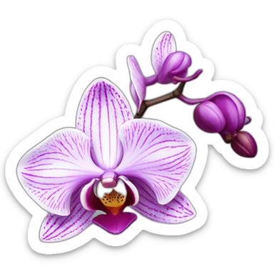 Orchid sticker