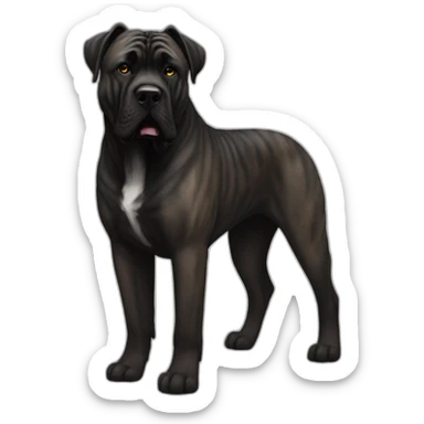 Presa canario brindle black  mastiff  sticker