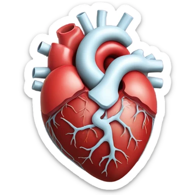 heart medical image sticker