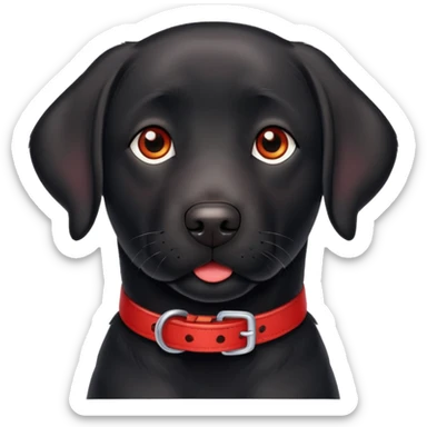 Black lab with red collar  sticker