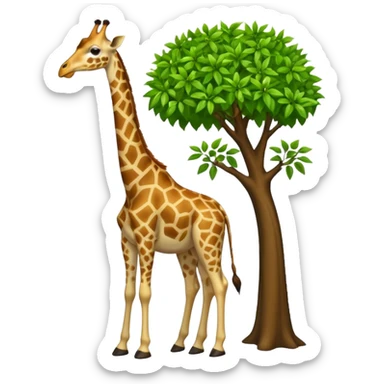 giraffe eating leaves from a tree sticker