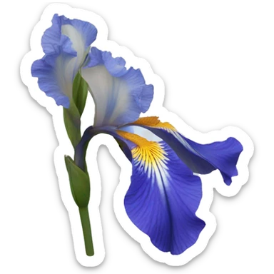 Blue Iris flower sticker