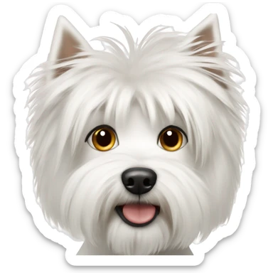 white dog with medium hair breed westie sticker