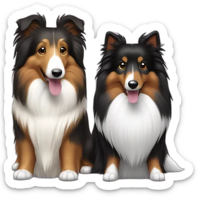 sable sheltie and bi-black sheltie are friends sticker