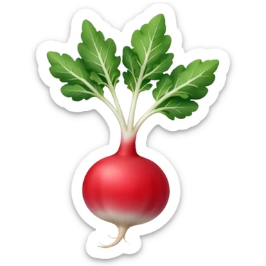 smaller radish UK plant with a bit of white on the bottom of the radish sticker