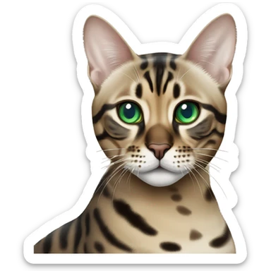 Seal Bengal cat with Blue eyes + charcoal Sepia bengal cat with Green eyes sitting  sticker