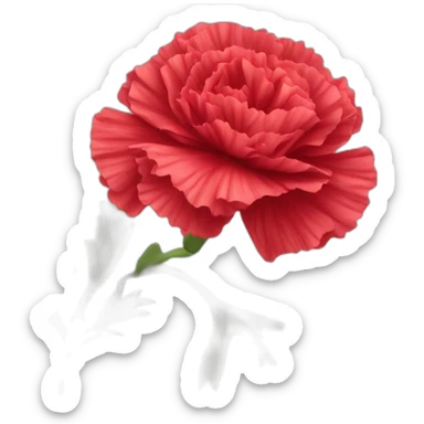 Red Carnation flower sticker