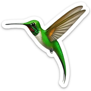 long tailed hummingbird sticker