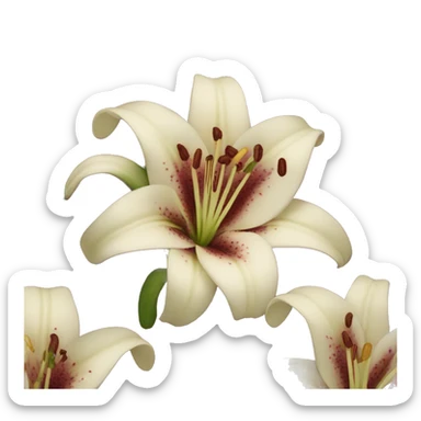realistic burgundy lily sticker
