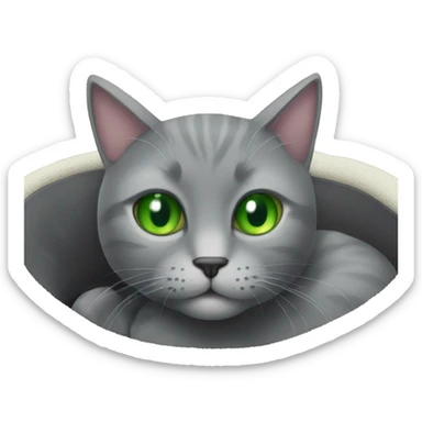 green eyed solid gray cat on a cat bed sticker