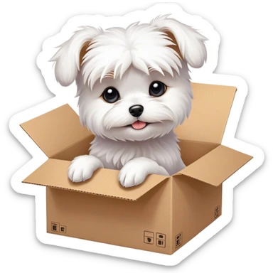  A very cute young Maltese dog  with one's head tilted to one side poked its paws out of the cardboard big box and placed them on top of it sticker