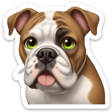 brown haired girl with green eyes with English bulldog sticker