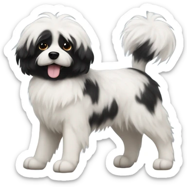 Fluffy dog with black face and white chest with black patches  sticker