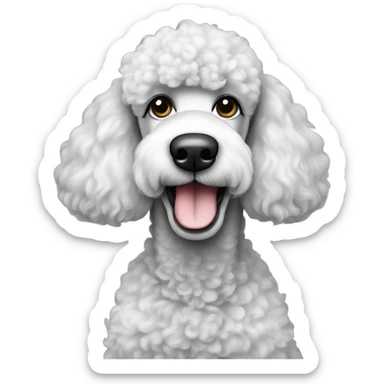 Black and white standard poodle sticker