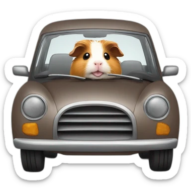 guinea-pig-car sticker