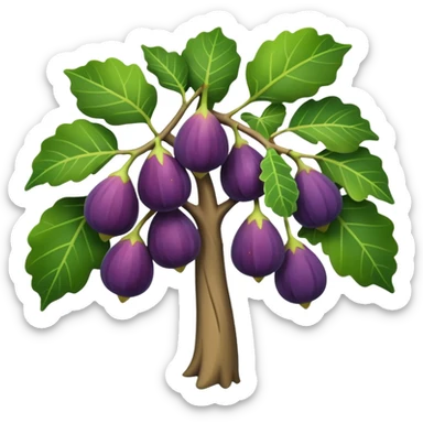 fig tree  sticker