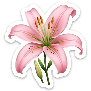 light pink lilium sticker