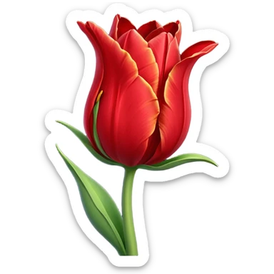 wilted tulip flower sticker
