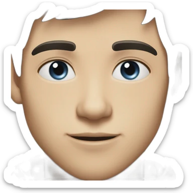 portrait of 18 years old guy, dark brown hair bangs to the left, blue gray eyes, black T-shirt sticker