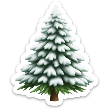  actual white fir christmas tree isolated.  sticker