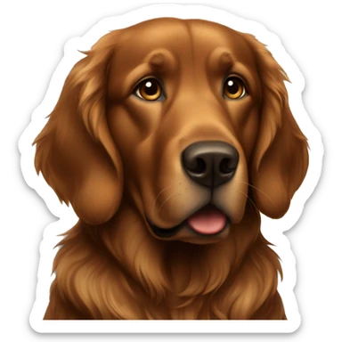 Dark brown golden retriever  sticker