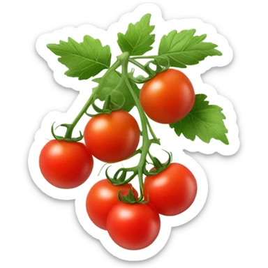 Cherry tomatoes sticker