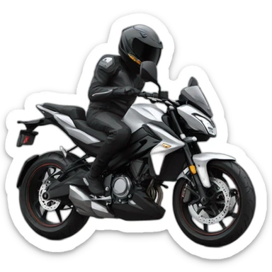Pulsar ns 200 sticker