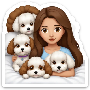 Olive skin girl with long brown hair in bed with 3 WHTE bichon frise's sticker