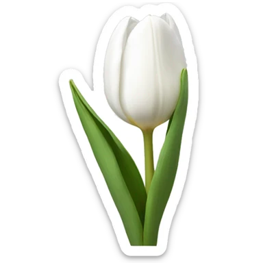 White tulip  sticker