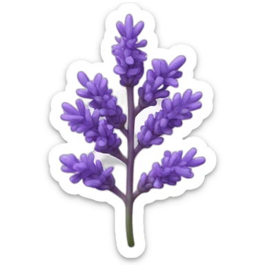 aroma-lavanda sticker