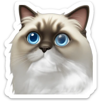 himalayan cat with blue eyes sticker