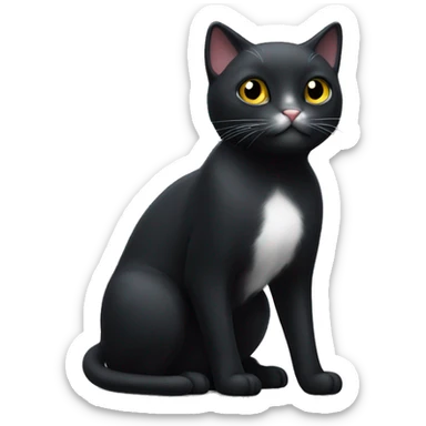 Black cat standing with white paws and white chest sticker